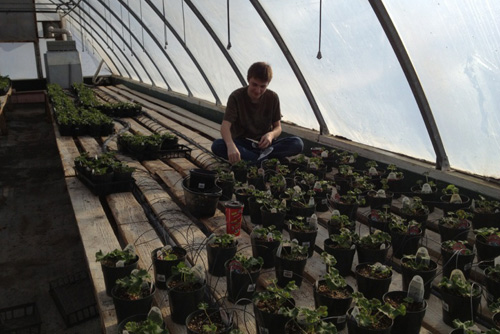 Saskatoon Greenhouse