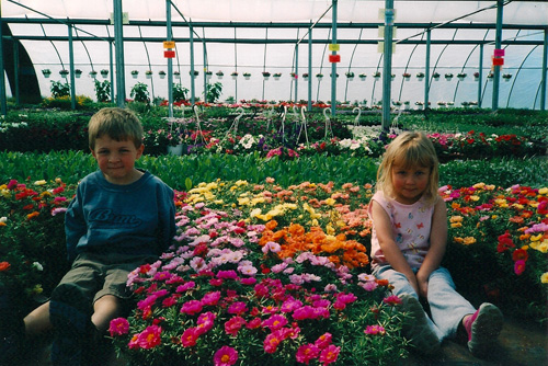 Clement Farms Greenhouse